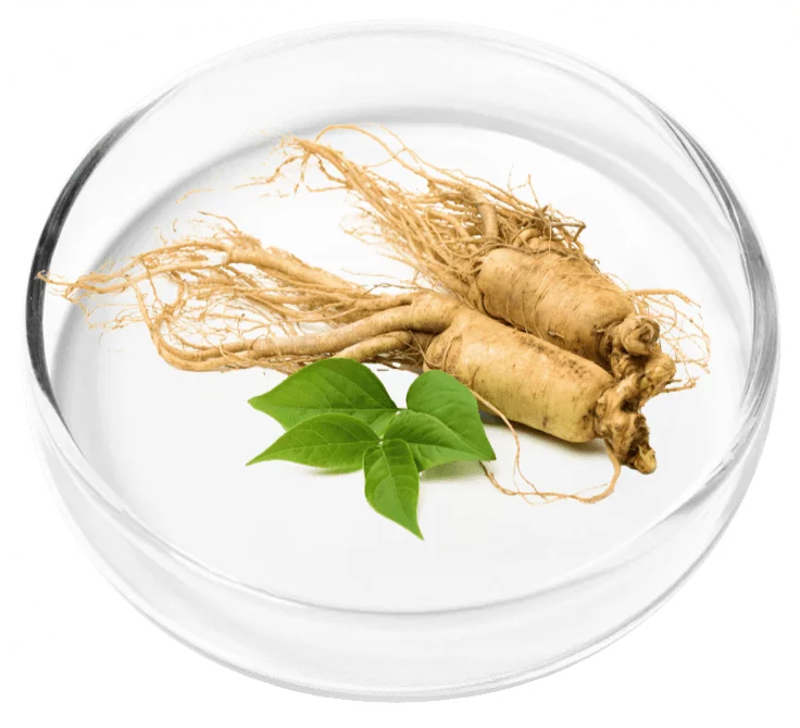 Vertigenics ingredient 9